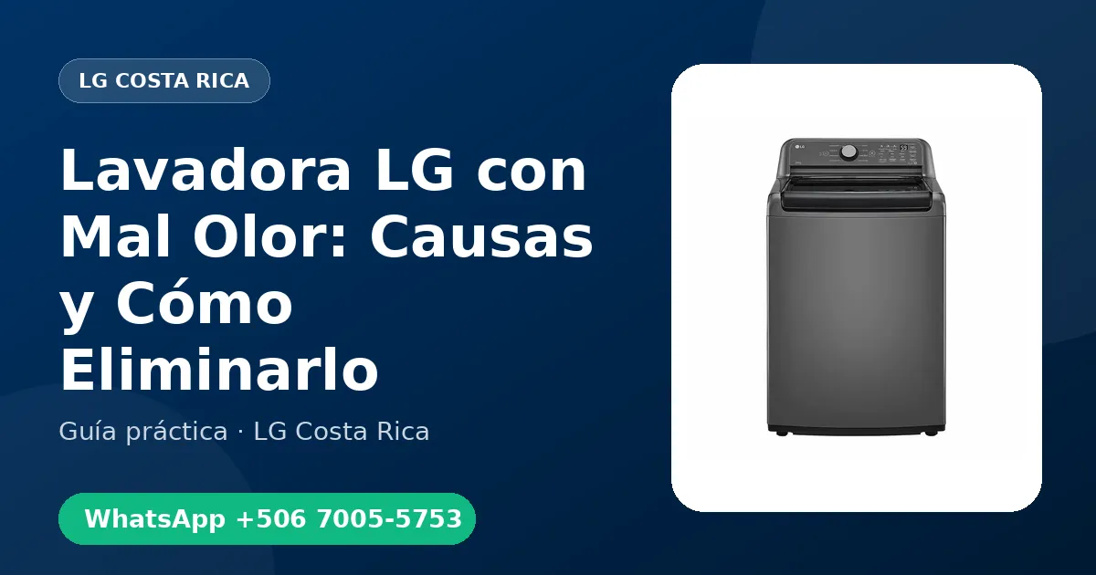 Lavadora LG con Mal Olor: Causas y Cómo Eliminarlo