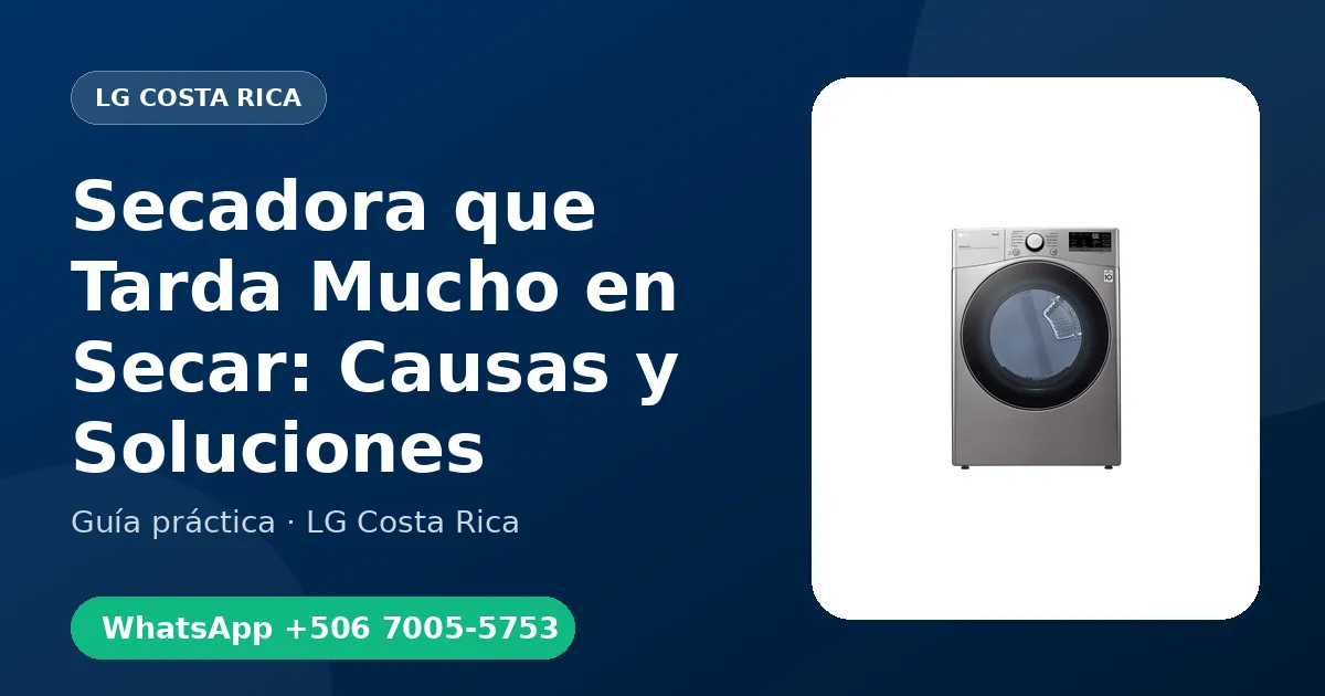 Secadora que Tarda Mucho en Secar: Causas y Soluciones